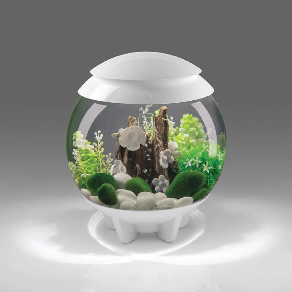 biOrb Halo 30 Aquarium with MCR Lighting - 8 Gallon White