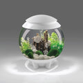 biOrb Halo 30 Aquarium with MCR Lighting - 8 Gallon White
